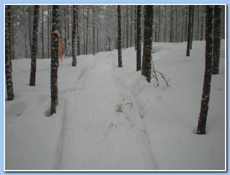 helmikuu2011 009